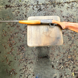 Stevens | Stevens Model 940 410